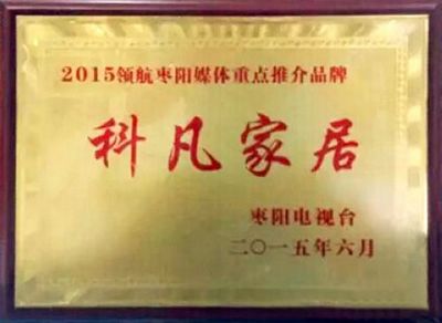 2015领航枣阳媒体重点推荐品牌